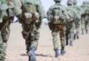Bilan opérationnel de l’ANP : Sept éléments de soutien aux groupes terroristes arrêtés
