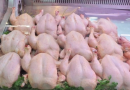 L’ONAB déstocke du poulet à 350 DA : Une mesure pour alléger la pression sur les prix