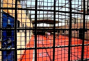Détenus Palestiniens : 34ème jour de désobéissance dans les prisons de l’occupation sioniste