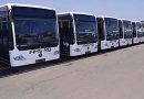 Renforcement du transport à Annaba : 10 nouveaux bus pour Oued El-Aneb