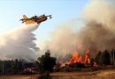 Lutte contre les feux de forêt à El Tarf : Vigilance maximale et renforcement des moyens