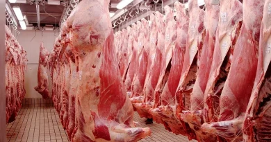 Plafonnement des marges bénéficiaires : Les viandes rouges importées concernées