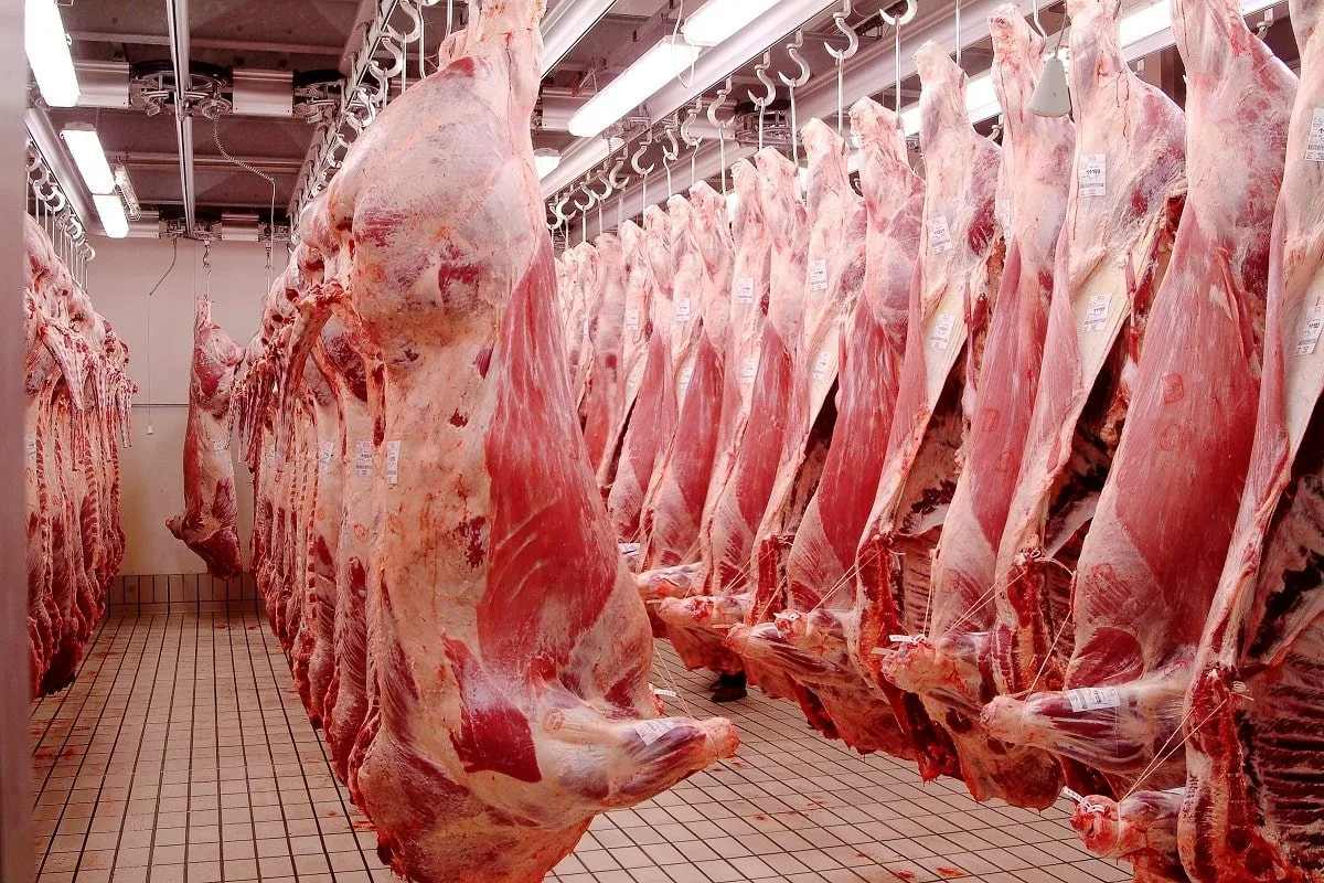 Importation de viandes rouges : Les éleveurs se rebiffent - La Sentinelle
