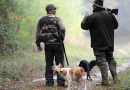 Jijel : La chasse suspendue pour protéger la faune sauvage