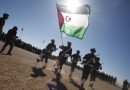 53e anniversaire de la lutte armée sahraouie : Un peuple ne renonce pas à la lutte pour l’indépendance