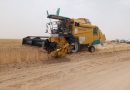 Oum El Bouaghi : Le secteur de l’agriculture sous la loupe