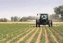 Batna : L’opération d’assainissement du foncier agricole lancée