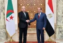 Algérie-Égypte: Un renforcement stratégique des relations bilatérales