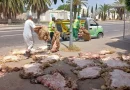 Collecte des peaux de l&rsquo;Aïd : Une campagne nationale qui a tenu ses promesses