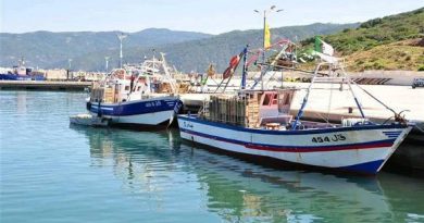 Pêche à Skikda : Une campagne de sensibilisation sur le repos biologique