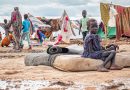 Soudan : Des millions de personnes menacées par une famine catastrophique
