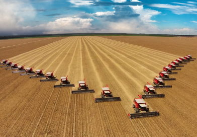 Sécheresse historique : la situation actuelle de l&rsquo;agriculture européenne