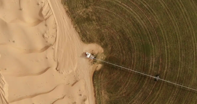 Développement de l’agriculture saharienne : L’Algérie s’ouvre aux investisseurs étrangers