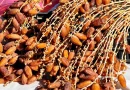 L’Algérie fait reconnaître ses dattes dans le Codex Alimentarius : La Deglet Nour impose sa signature