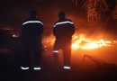Incendies de forêt : plus de 8 900 agents mobilisés dans 17 wilayas