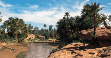 Nâama : L&rsquo;oasis de Tiout épicentre de la jeunesse africaine