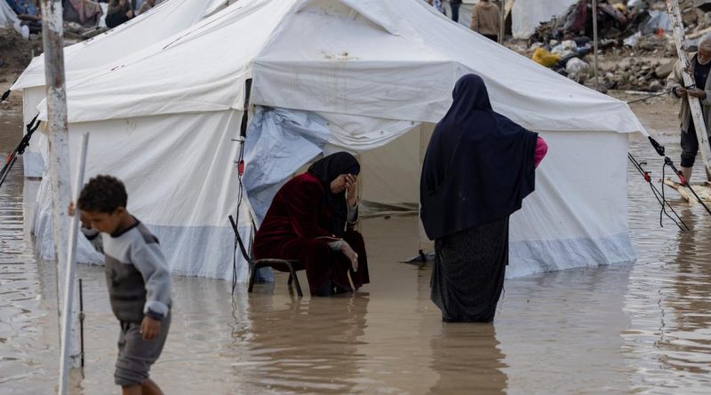 11 personnes périssent dans les intempéries : Le calvaire humanitaire s’aggrave à Ghaza