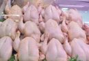 Poulet congelé à 330 DA le kilo : L&rsquo;ONAB injecte 2 000 tonnes sur le marché