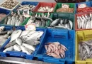 Pour contenir la flambée des prix durant le Ramadhan : L&rsquo;État déploie 390 points de vente de poisson