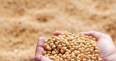 Batna : Détournement de soja subventionné à Merouana