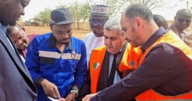 Algérie-Niger : Sonelgaz relance la coopération avec Nigelec