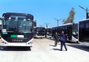 Oran : 50 nouveaux bus pour renforcer le transport urbain