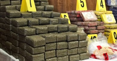 Trafic de cannabis hybride : L’Algérie sonne l’alarme ! Trafic de cannabis hybride : L’Algérie sonne l’alarme !