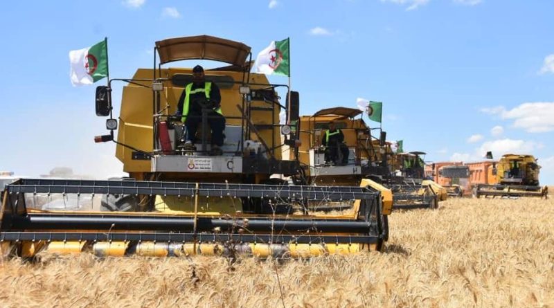 Sécurité alimentaire : L’Algérie, une forteresse de résilience en Afrique