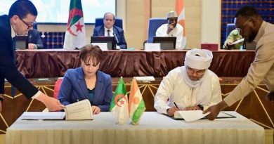 Protection du patrimoine, Imzad et industrie cinématographique : Alger et Niamey actent leur coopération culturelle Protection du patrimoine, Imzad et industrie cinématographique : Alger et Niamey actent leur coopération culturelle