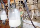 L’UGCAA souligne les transformations structurelles de la filière lait : Un pas de plus vers la souveraineté alimentaire