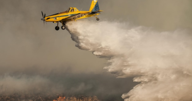 Annaba : La campagne de prévention des incendies se prépare