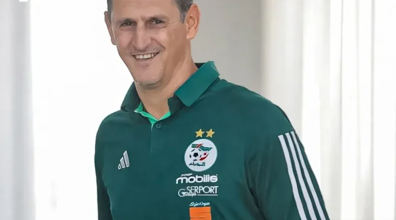 La FAF renouvelle ses cadres : Saïfi nommés à la tête des Olympiques, Fredj chez les filles U17