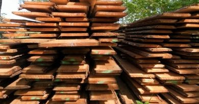 Batna : Durcissement de l&rsquo;encadrement de la vente de bois