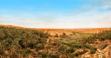 Tébessa mise sur Negrine : Vers l&rsquo;émergence d&rsquo;un pôle touristique à forte valeur économique