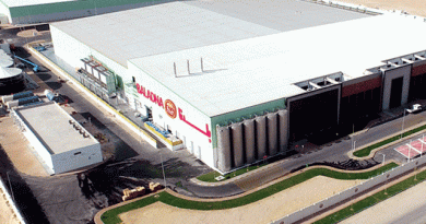 30 000 vaches américaines seront transportées par avion vers Adrar : Le projet Baladna entre dans sa phase opérationnelle