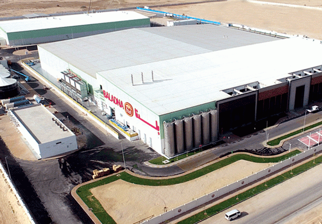 30 000 vaches américaines seront transportées par avion vers Adrar : Le projet Baladna entre dans sa phase opérationnelle