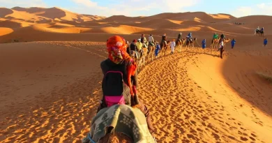 Près d&rsquo;un million de visiteurs en 2025 : Le Sahara séduit plus de touristes