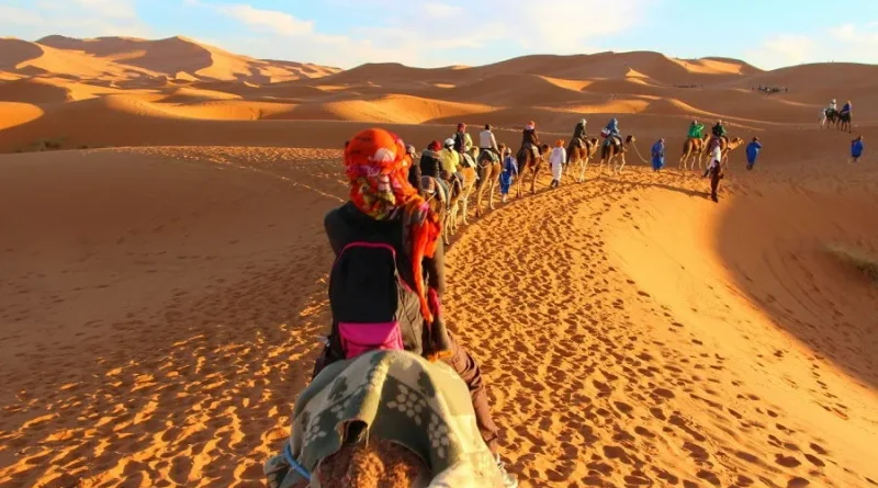 Près d&rsquo;un million de visiteurs en 2025 : Le Sahara séduit plus de touristes