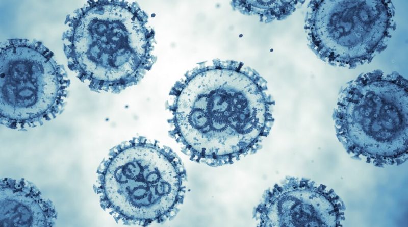 Hantavirus : L&rsquo;Algérie enclenche un dispositif de vigilance