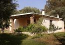 Lutte contre l’exode rural à Skikda : Nouvelles aides pour 2 000 logements ruraux