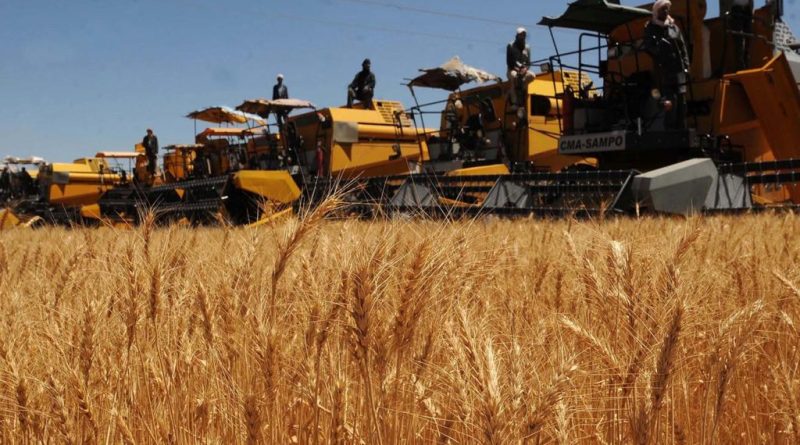 Céréaliculture : Des moyens inédits déployés pour sécuriser la récolte