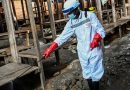 Ebola : 10 pays africains risquent d&rsquo;être touchés par l&rsquo;épidémie