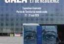 « Récits d&rsquo;espoir et de résilience » à l’Institut du monde arabe : Peindre sur des cartons du PAM pour ne pas oublier Ghaza