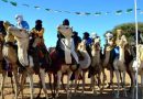 Ouargla : El-Borma fête le dromadaire sous les étoiles du Grand Sud