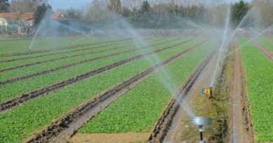 Pour soutenir l&rsquo;agriculture céréalière et maraîchère : Des capacités d&rsquo;irrigation renforcées à Jijel
