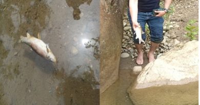 Jijel : Catastrophe écologique dans l&rsquo;oued Kissir