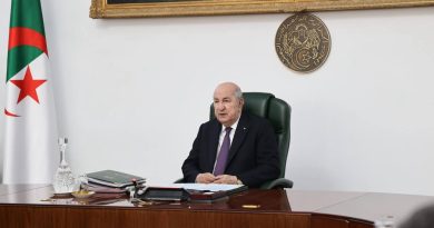 Projets pétrochimiques, hélium et développement minier : Tebboune fixe le cap