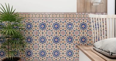 Musée Ahmed-Zabana : L&rsquo;art du zellige se transmet