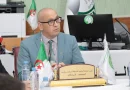 Le vote de la diaspora a commencé samedi : Khelfane assure que tout est en place
