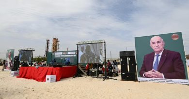 Alger offre et livre une centrale électrique à Niamey : L’Algérie au cœur de la solidarité énergétique africaine